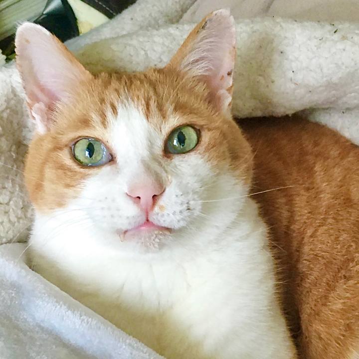 C596bb2e c349 4c6e 8c6c 0d4ca48baca3 1671327548099