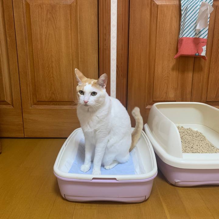 C596bf83 c26c 493f a022 64df847310b2 1644075539122