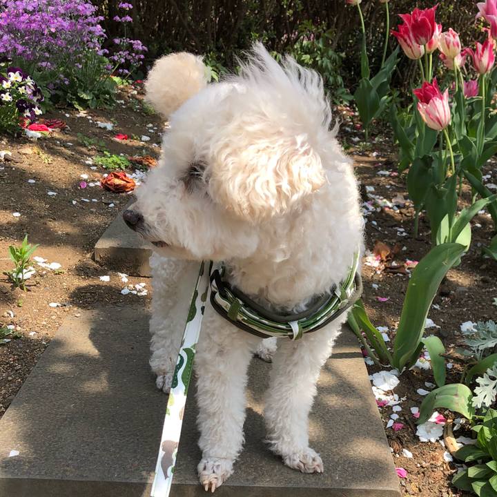 C596c812 f6d6 42b5 b2ec 31e6a7c753c7 1522899222013