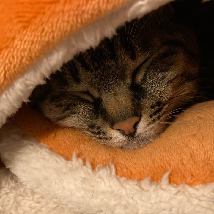 C596d921 7f7e 49a3 bdca 54a10484d76d 1640072027870