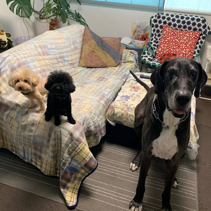 C596fa7d 172c 424c a643 78e14ab9d1a0 1562020571430