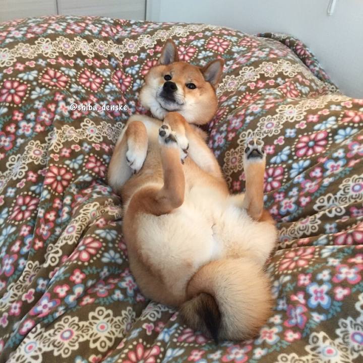 C5972b74 6fc8 40fc 8199 d86590eae79a 1539925452563