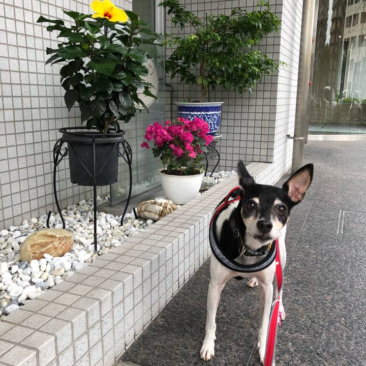 C59766e0 de9a 45c7 a24f e4a733a3a15e 1537753382473