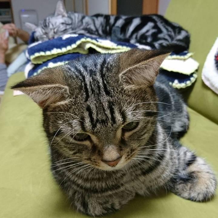 C5979cfa 433a 4935 a508 4f82491f5bd8 1510478106031