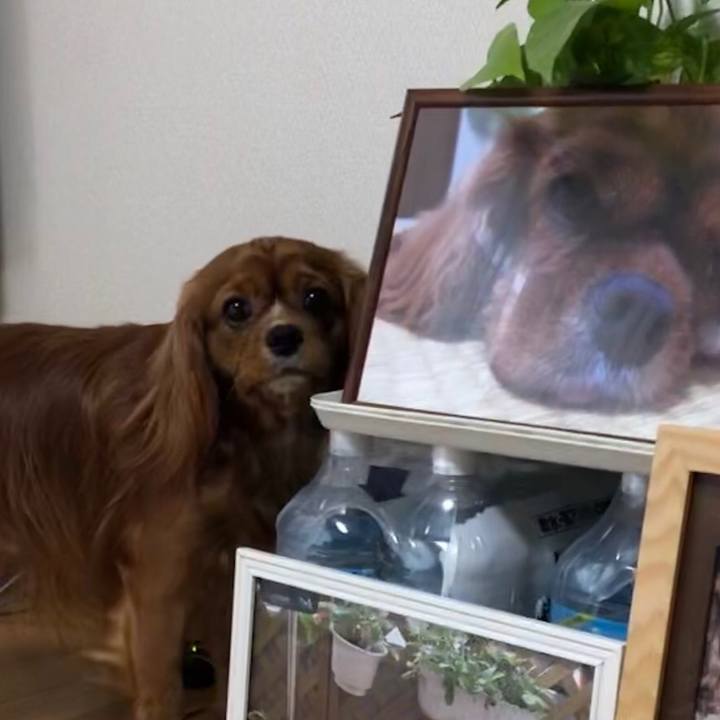 C597a5dc 9fa8 4ff2 8ce8 c0fea5968ac7 1549752964020