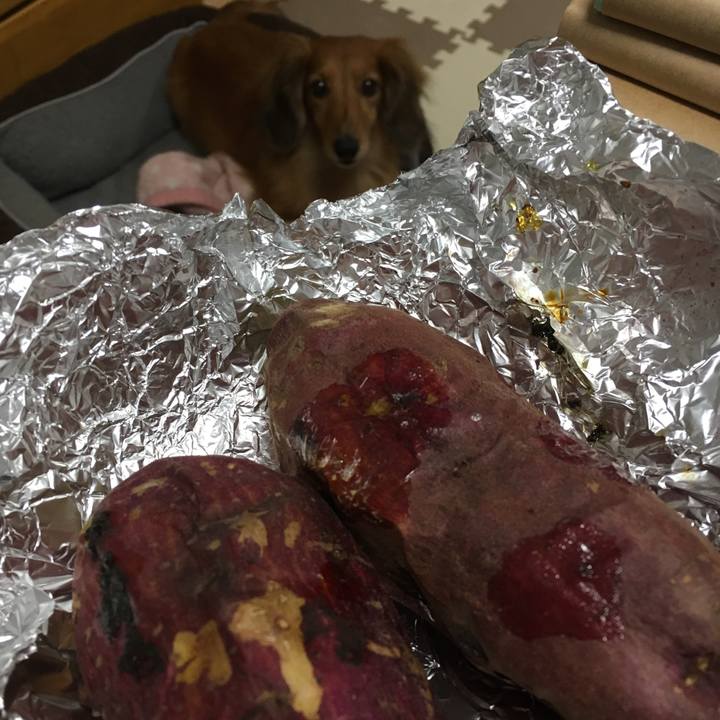 C597b0a3 2deb 48f5 91f5 2a738cdb6cc7 1511695144871