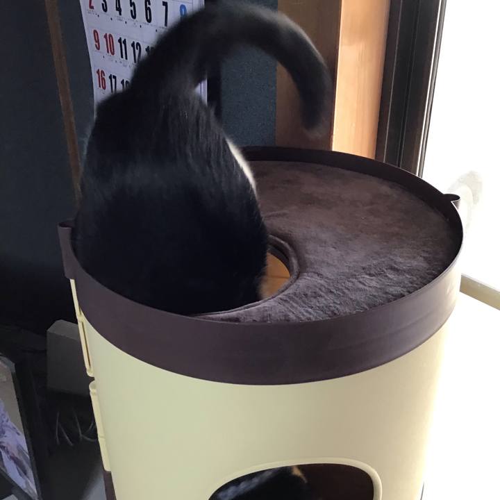 C597c25c d161 4a8e 91a9 ec29ca3a7730 1641624504174