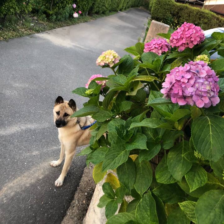 C597cb63 edc6 45ad bc45 c667145300b2 1560769553257