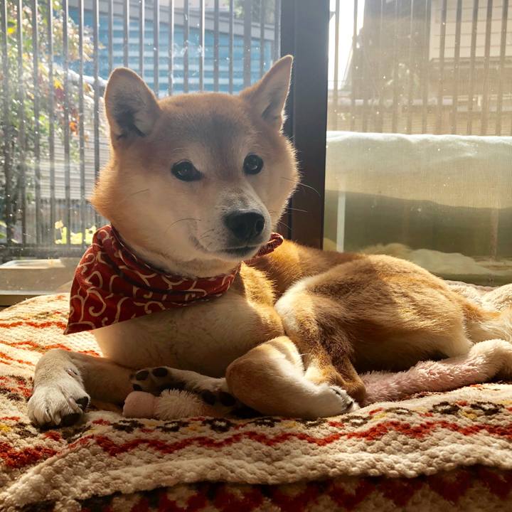 C597f11d b64d 4819 9960 0c435fc0aae0 1551698047560