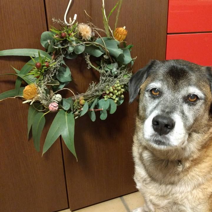 C5981c8d 8f4c 4669 bec8 5324af57579f 1543490019369