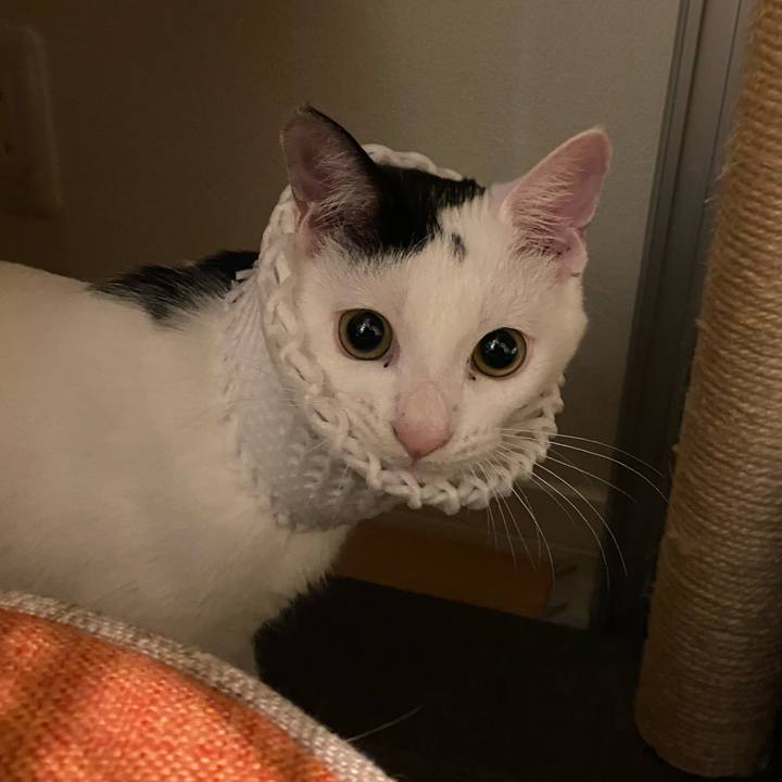 C5982775 20b9 4e4b 922b b77ae523af66 1671440962818