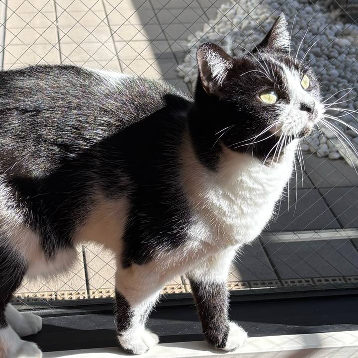 C5982d99 ea97 4deb 9f12 f85fa8bc84c7 1762514382776