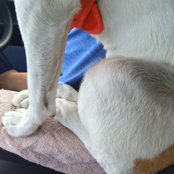 C5983ca6 c876 4aaf 956c f26dbf8a8a97 1722425718044