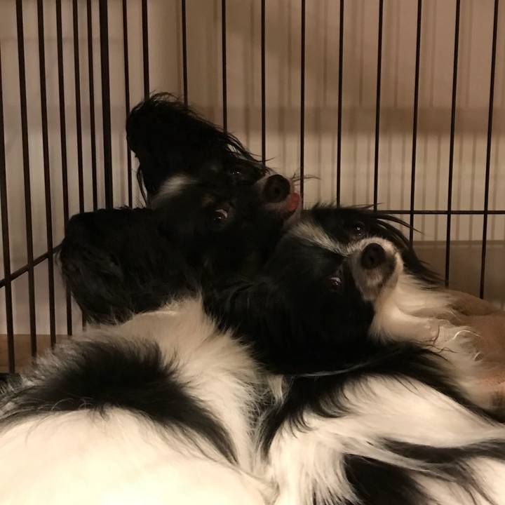 C59853a7 16bd 4912 ba9e b7e65dee9197 1528372572880