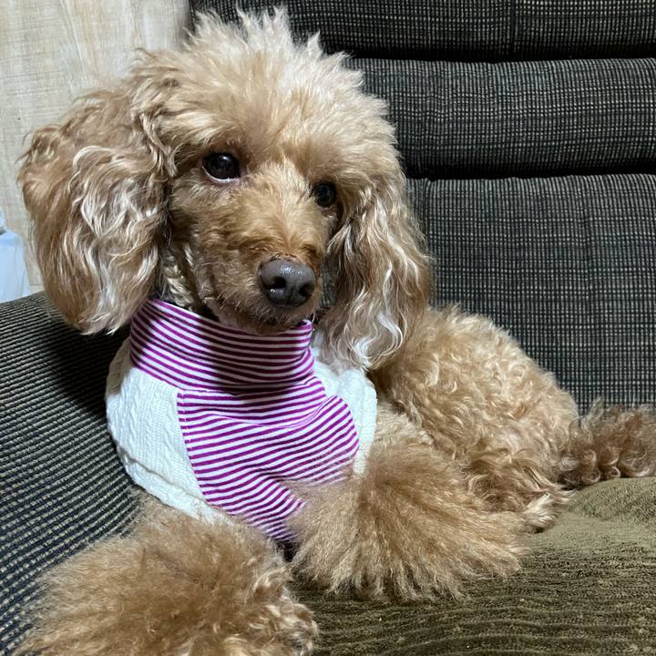 C59863f0 823e 4063 9ab8 d84f63c2fd94 1667476441431