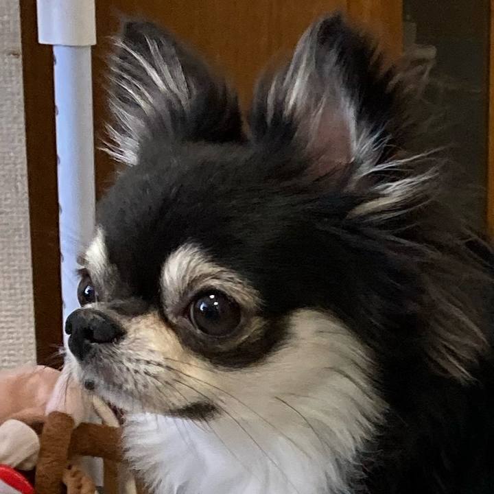 C5988fb9 c8c8 443f b015 0c911f49a6ae 1659842275608