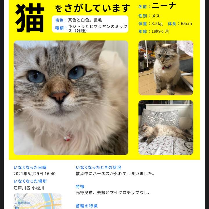 C5989a26 0685 4254 b017 0eacdb385702 1623898980615