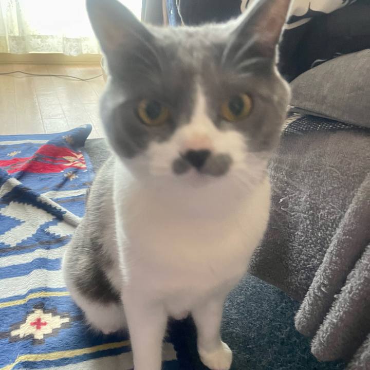 C598a9cd 7e5d 43ac 8940 4b68c44686ce 1651277617966