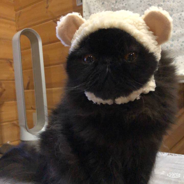 C598b429 01e1 4201 91dc e37a36e6715e 1530453638139