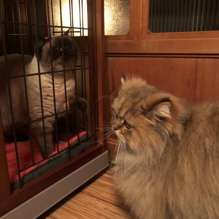 C5991523 67cd 4c3d 95cc 7f716765b9eb 1614857601947