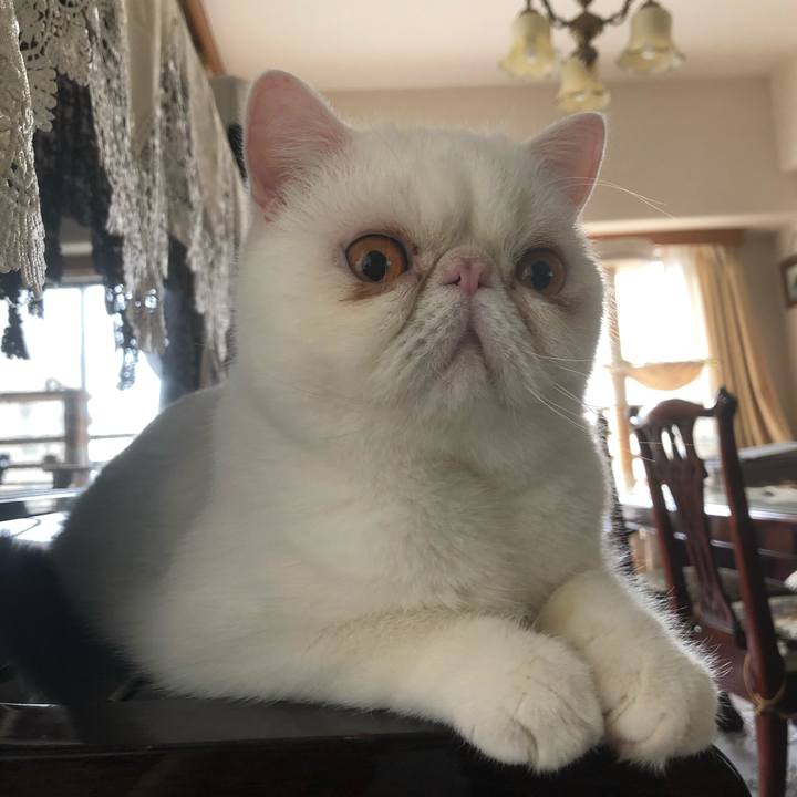 C5992cdd 52f1 4e17 a906 72b26777a375 1633739568205