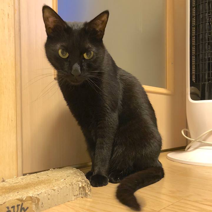 C59935ab fc2a 4d87 92a0 3e95d55ff2f0 1526041282174