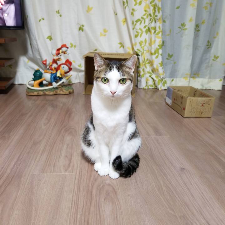 C5996928 05fb 4184 ab7d b49cf2fa57a9 1586949485573