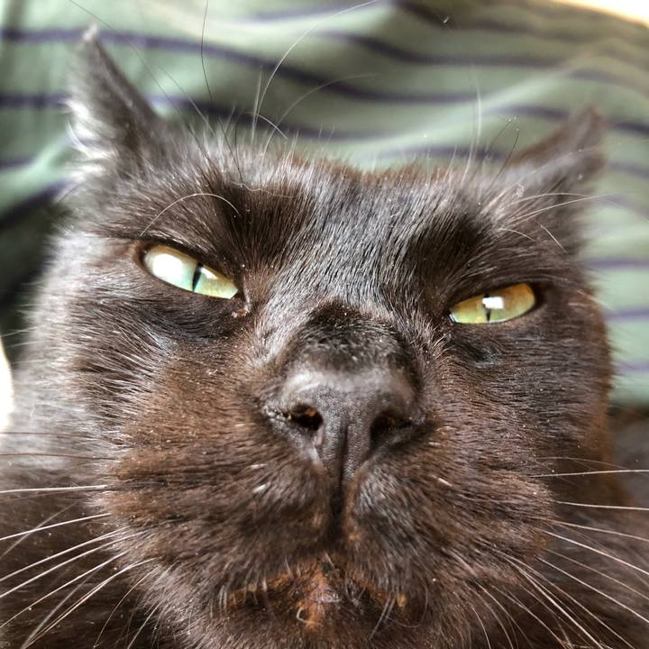 C5999ff2 f54e 4850 9e1b 4ffcf711378c 1587170657566