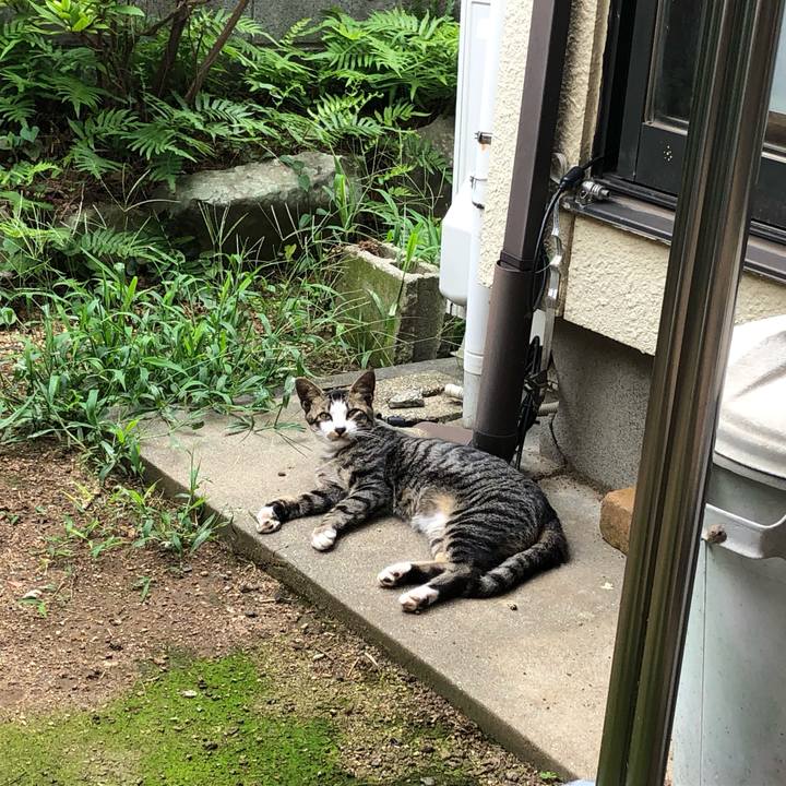 C599b278 9158 4e89 b16b c8ff49ac0104 1562730797940