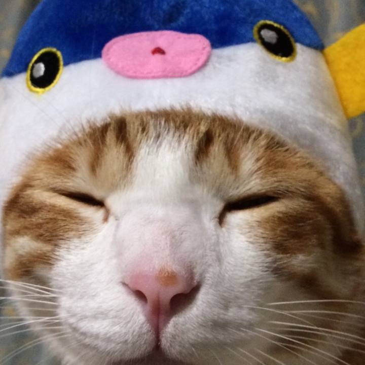 C599b4b7 d442 4615 b2ab e78f943c19b8 1544831125973