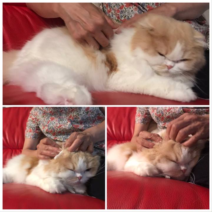 C599c728 249e 4899 bcd6 4d43e8aa75d9 1567865777137