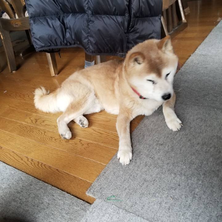 C59a193c a14e 463b a5ca 20e92b68bb11 1772694965825