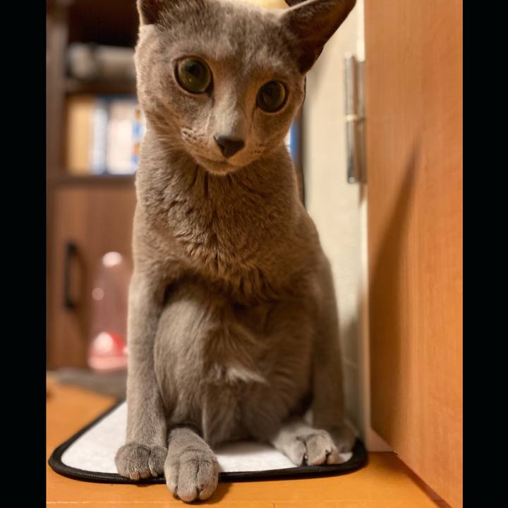 C59a4046 45bc 4ca5 8c2f 7a7ca181d12b 1648767293157