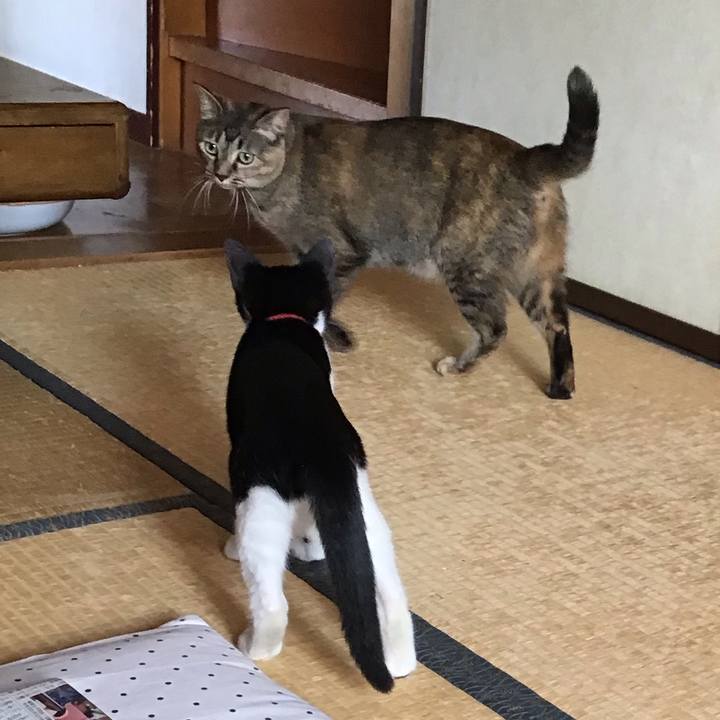 C59a462f cb58 4387 8f61 1d07e2f2db9a 1627870307620