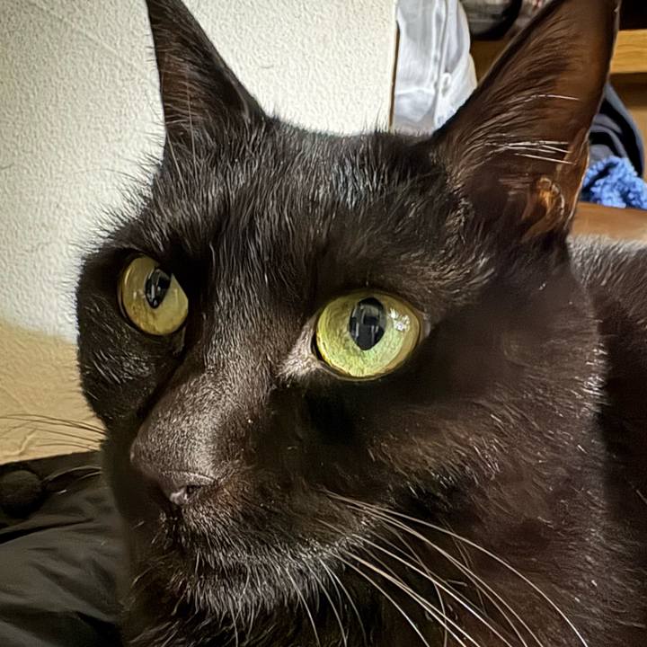 C59a4b71 5b29 4c55 82c0 e8c29e509dad 1771668425183