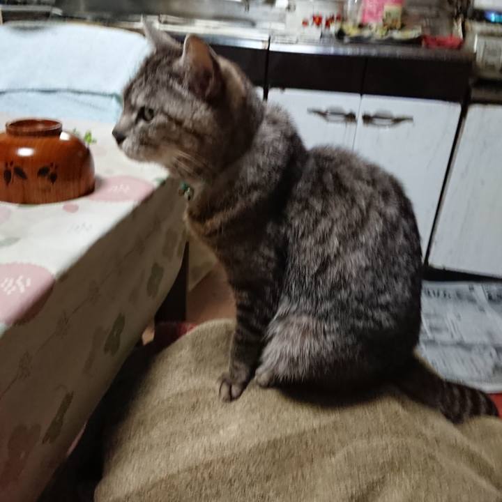 C59a70dc acce 43fc 93aa a73c2a99396e 1560860014882