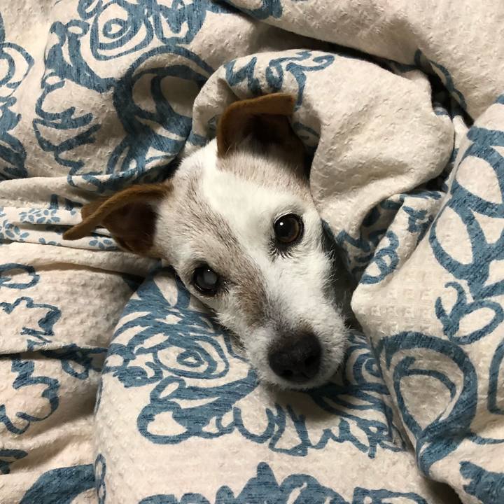 C59a7ec0 33ef 4db1 9cb0 4e20f3026fb8 1516967806465