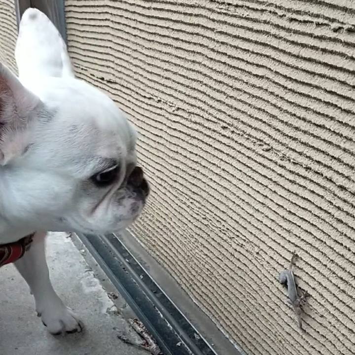 C59a9148 ca5b 4953 bfad 40ced7deed1c 1650062801230