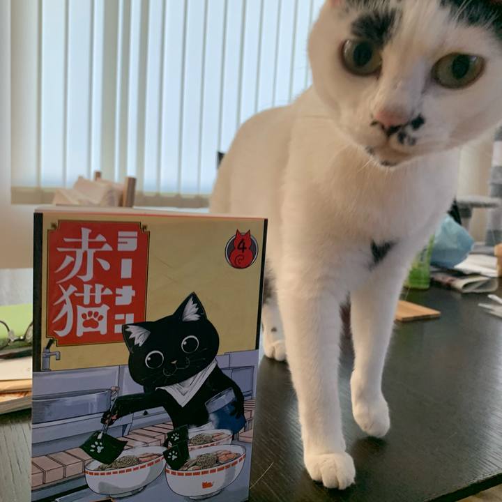 C59aae94 35fa 4710 abc5 1cf9aab319f0 1687640304306