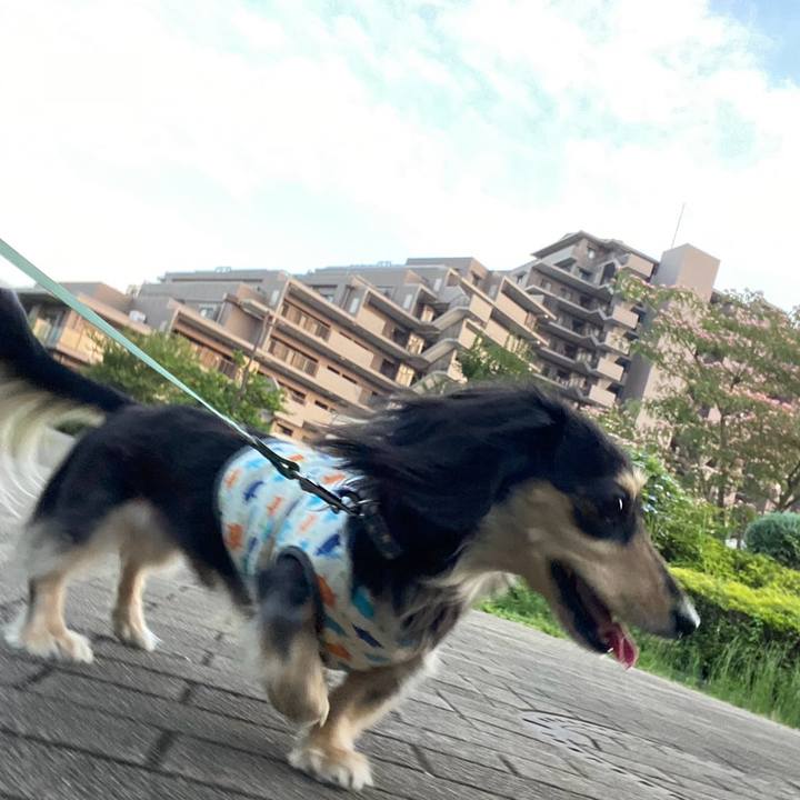 C59abeb0 3d27 4f7f ac3b fe8f9f22a60a 1751163346993