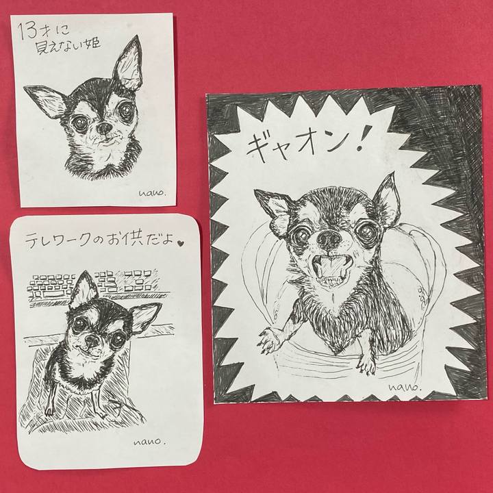 C59adf93 99eb 42fd 8e91 7d84f61b5d0f 1637949826976