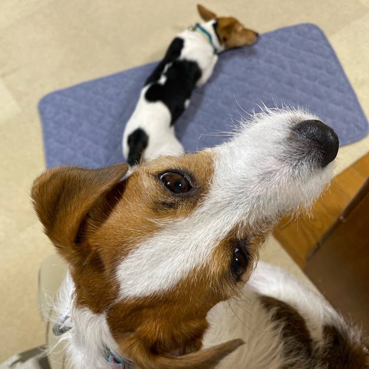 C59b25bc 6a6b 4f46 8e9d a84242b669ac 1760871374325