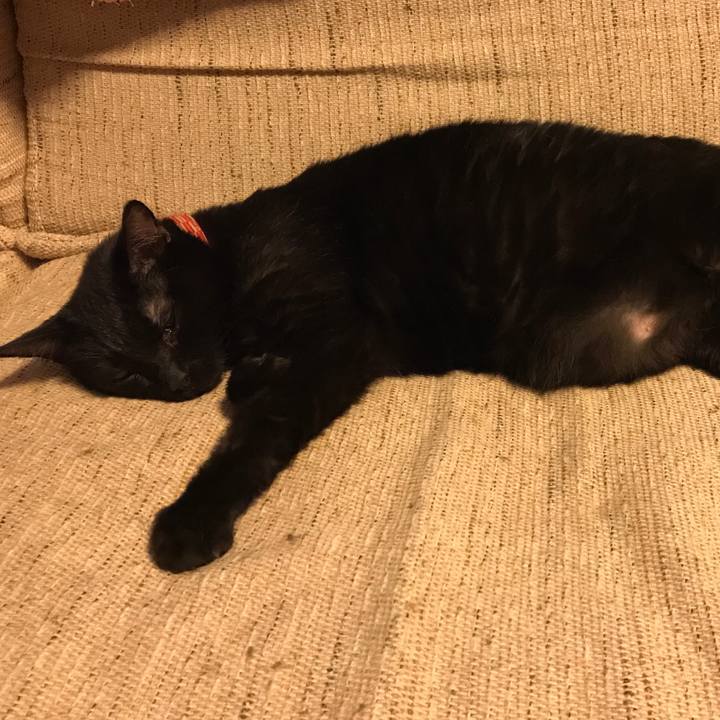 C59b2727 8b52 4464 8af5 fc9db7115163 1532709996143