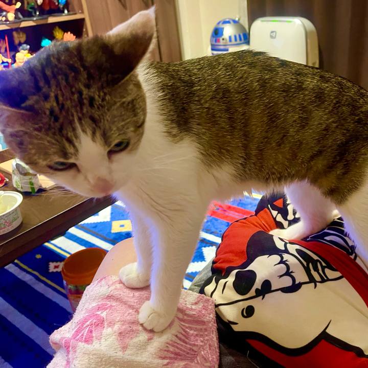 C59b3082 c0f5 4dae 87a0 220a526cc71e 1629030177938