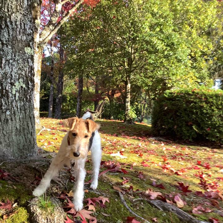 C59b4092 3251 42f4 9239 3775e007c7d3 1762649516492