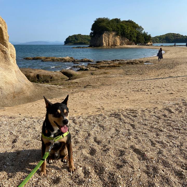 C59b4548 60d2 41f9 a5bf 7889cb925447 1619271417253