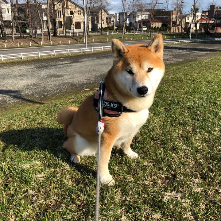 C59b4e94 fc98 43f3 987e 7ea09bee7bcb 1523841591791