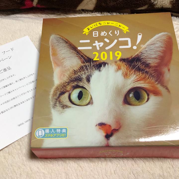 C59b853f a9f4 479b bd11 73415fc88e7c 1544090482773