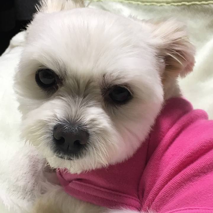 C59ba3b0 1578 4d9f aead 0c1144912eac 1544273260962