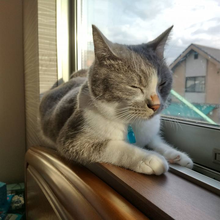 C59ba759 4436 4473 8bb3 abd96f761b4f 1629235334620